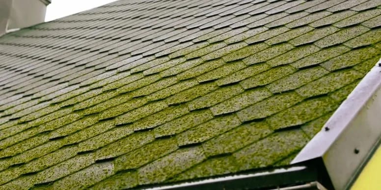 Roof Washing by WeatherX in Northern New Jersey